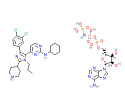 2D structure of the orthosteric ligand