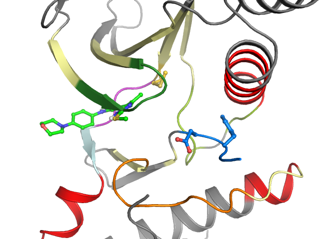 The orthosteric binding pocket
