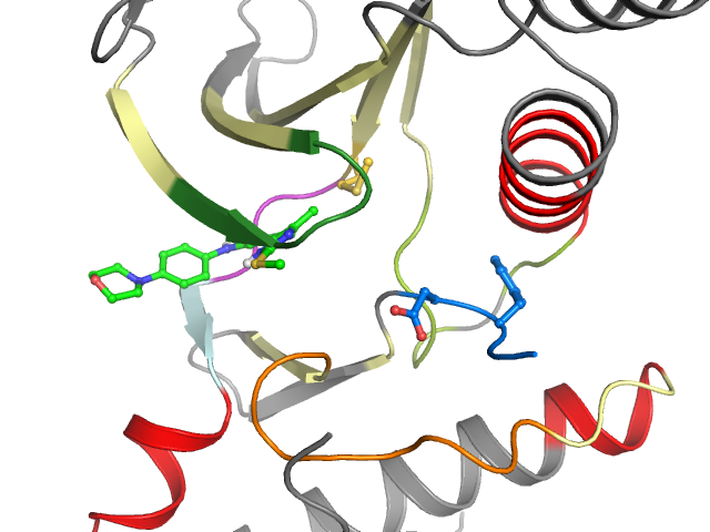 The orthosteric binding pocket