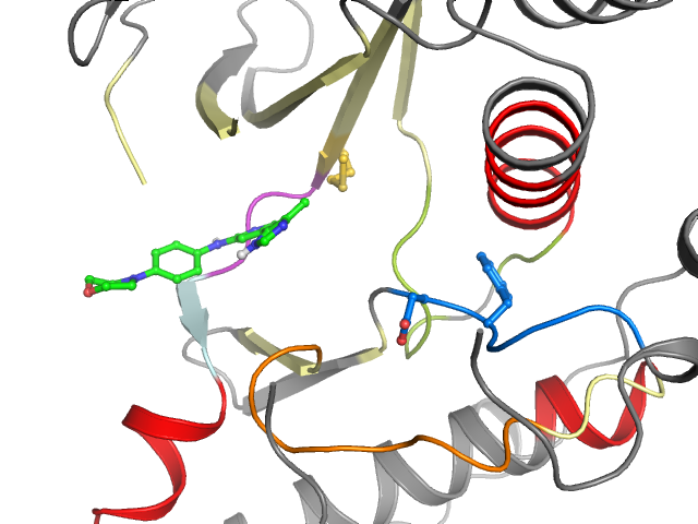The orthosteric binding pocket
