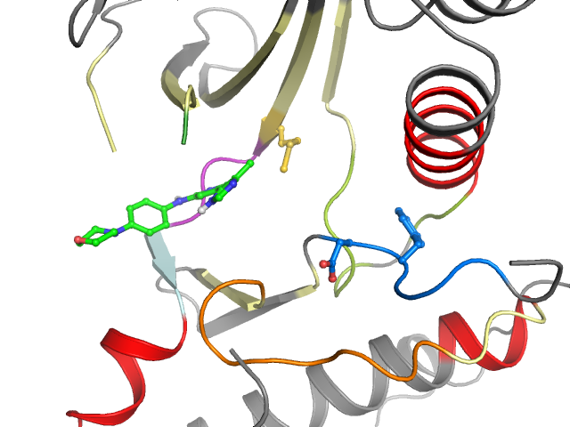 The orthosteric binding pocket