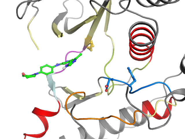 The orthosteric binding pocket