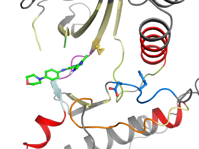 The orthosteric binding pocket