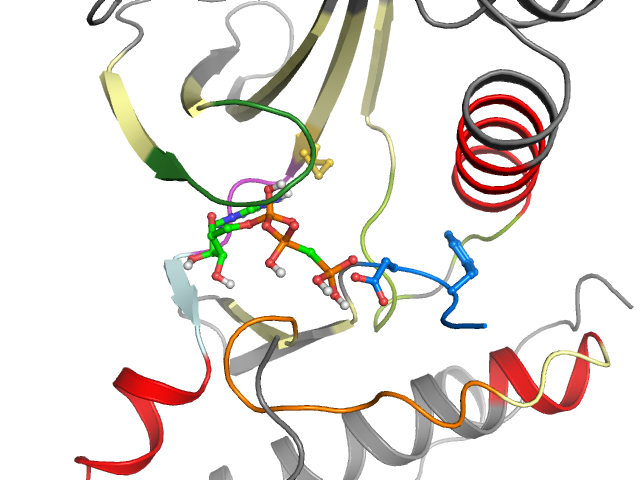 The orthosteric binding pocket