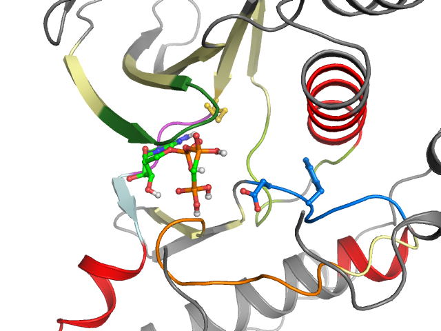 The orthosteric binding pocket