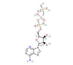 2D structure of the orthosteric ligand
