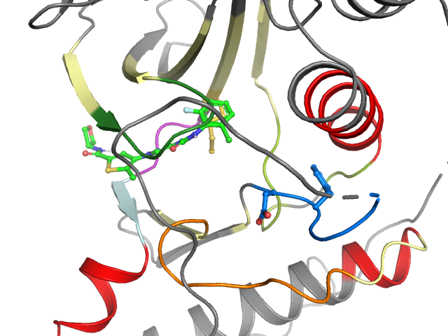 The orthosteric binding pocket