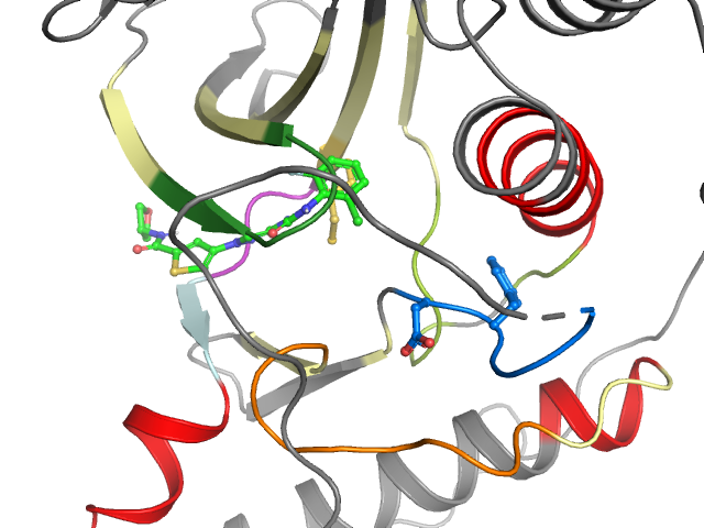 The orthosteric binding pocket