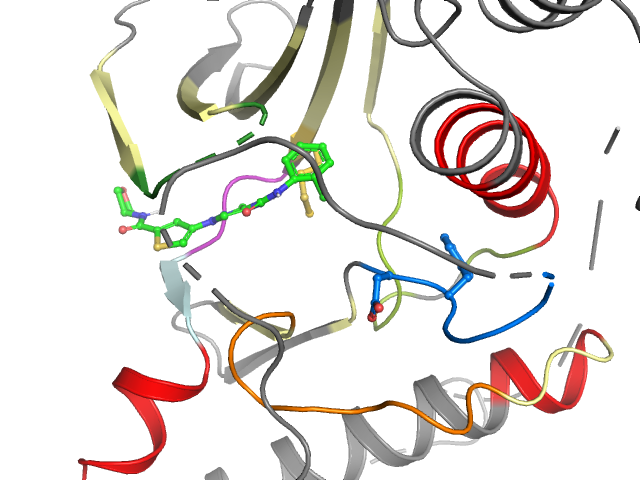 The orthosteric binding pocket