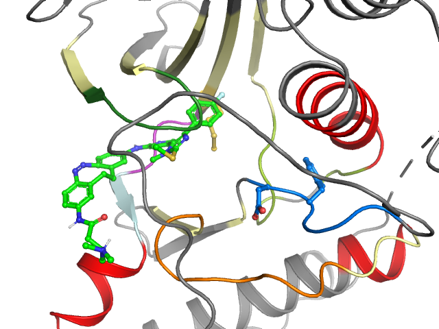 The orthosteric binding pocket