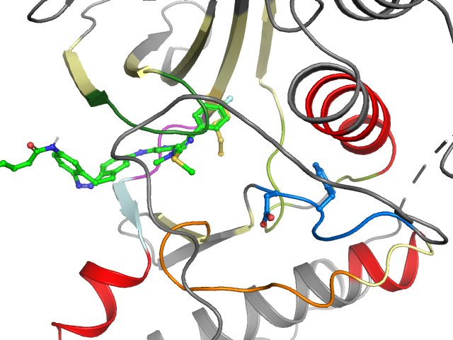 The orthosteric binding pocket