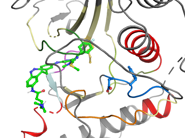 The orthosteric binding pocket