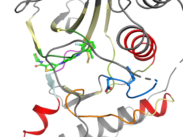 The orthosteric binding pocket