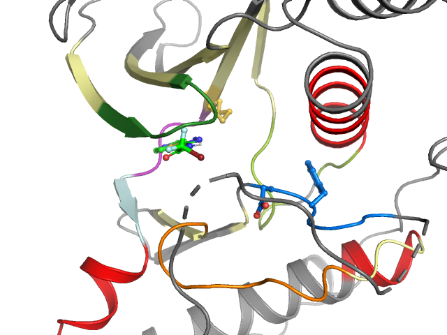The orthosteric binding pocket