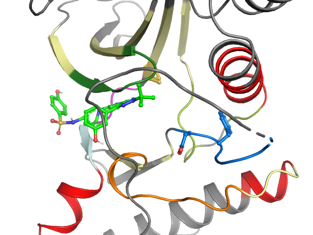 The orthosteric binding pocket