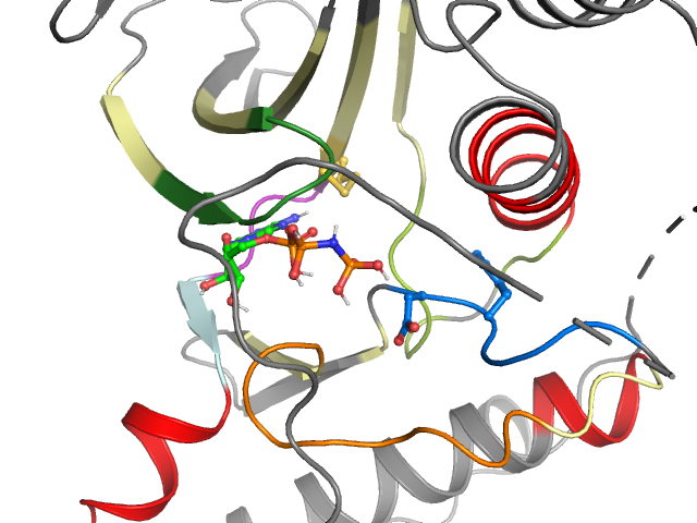 The orthosteric binding pocket