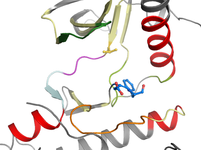 The orthosteric binding pocket