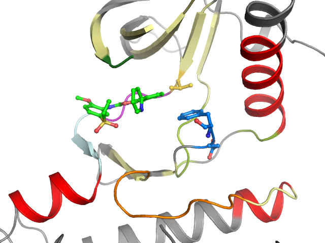 The orthosteric binding pocket