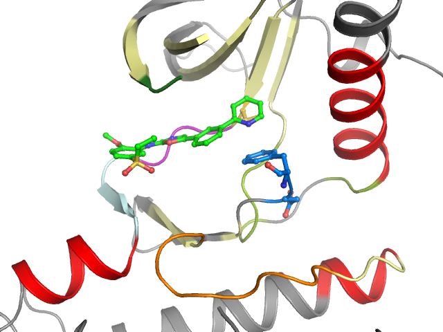 The orthosteric binding pocket