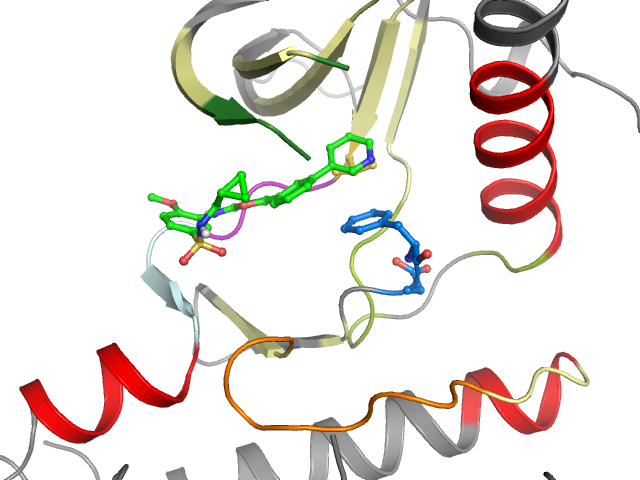 The orthosteric binding pocket