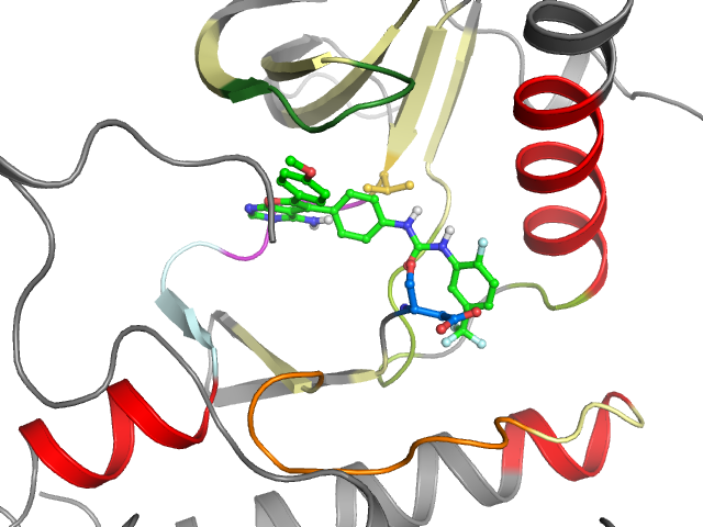 The orthosteric binding pocket