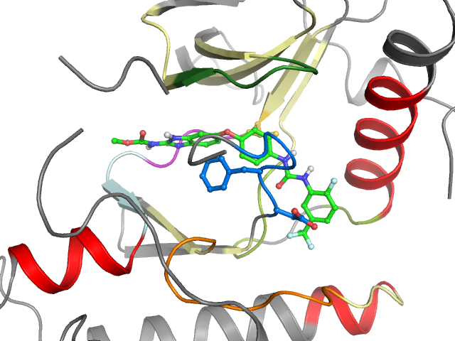 The orthosteric binding pocket