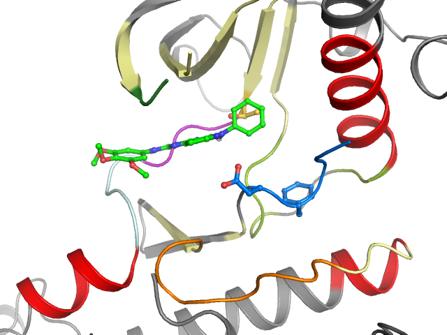 The orthosteric binding pocket