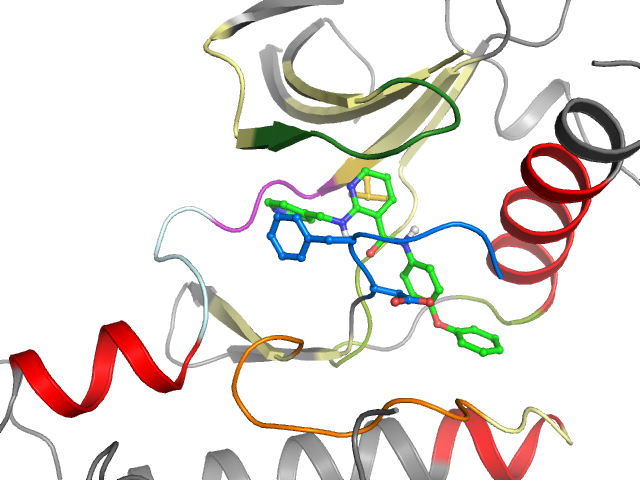 The orthosteric binding pocket