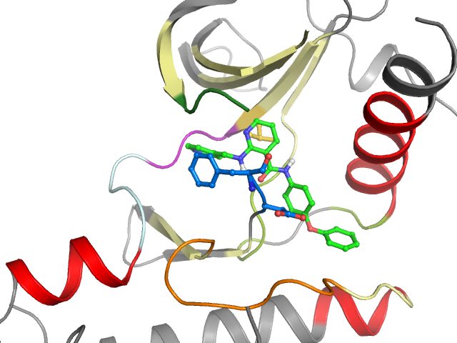 The orthosteric binding pocket