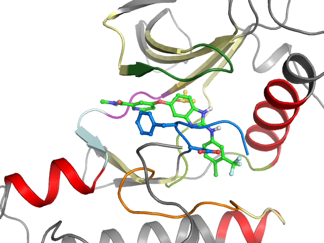 The orthosteric binding pocket