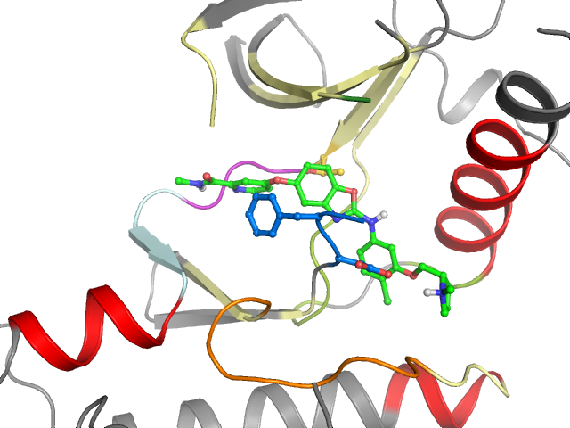 The orthosteric binding pocket