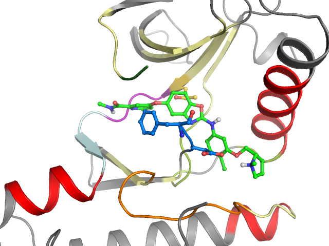 The orthosteric binding pocket