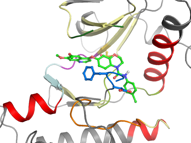 The orthosteric binding pocket