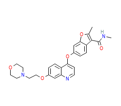 2D structure of the orthosteric ligand
