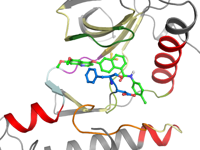 The orthosteric binding pocket