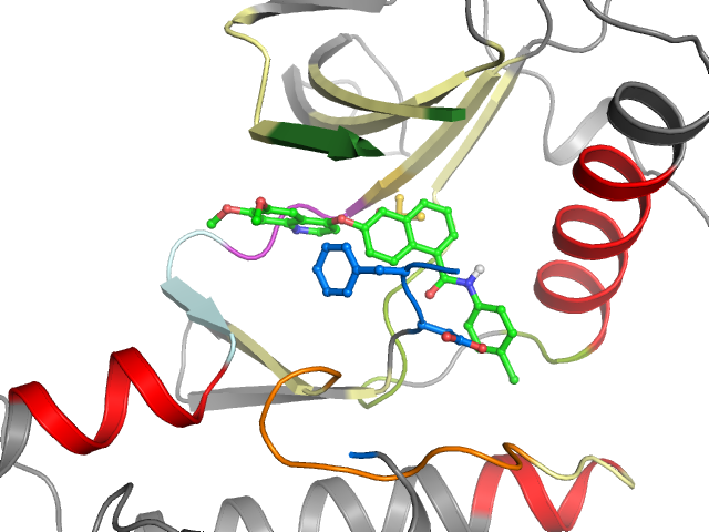 The orthosteric binding pocket