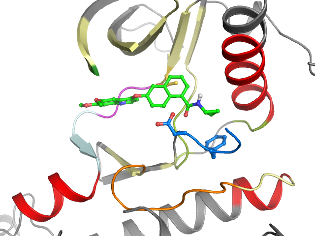 The orthosteric binding pocket