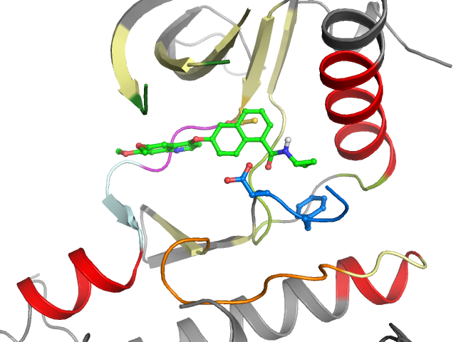 The orthosteric binding pocket