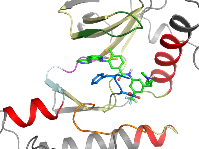 The orthosteric binding pocket