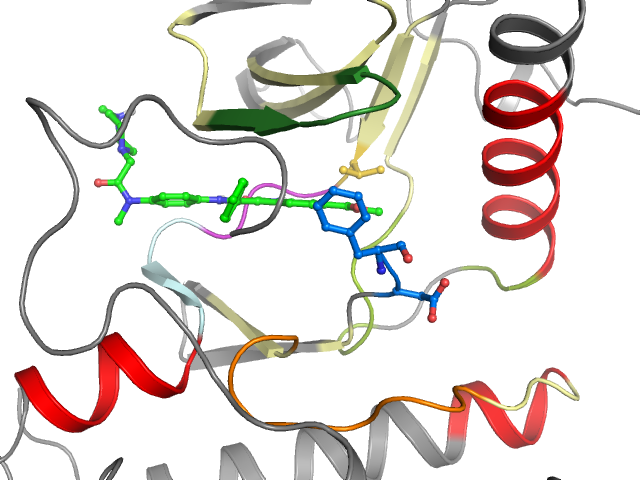 The orthosteric binding pocket