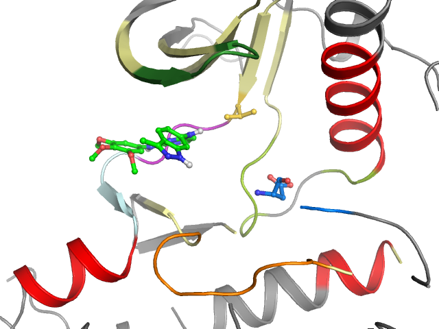 The orthosteric binding pocket