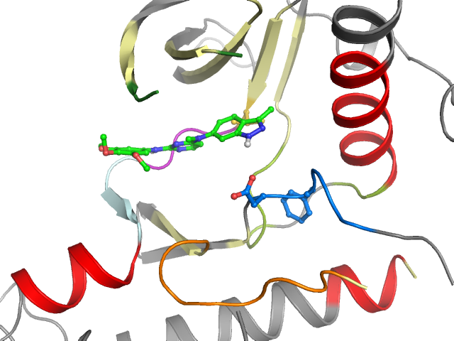 The orthosteric binding pocket