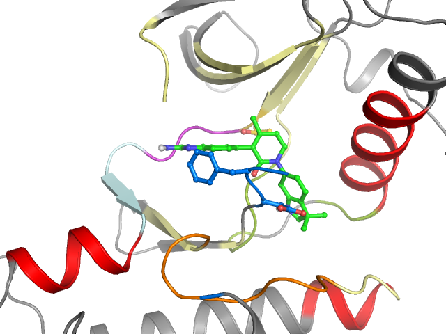 The orthosteric binding pocket