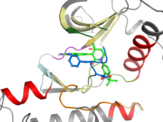 The orthosteric binding pocket