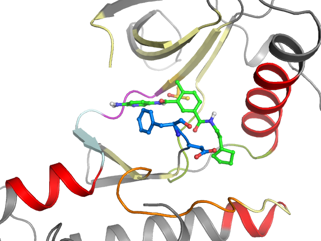 The orthosteric binding pocket