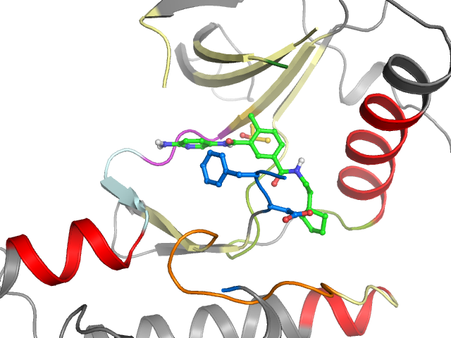 The orthosteric binding pocket