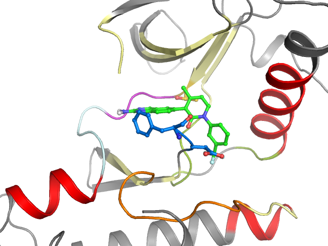 The orthosteric binding pocket