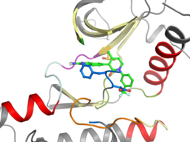 The orthosteric binding pocket