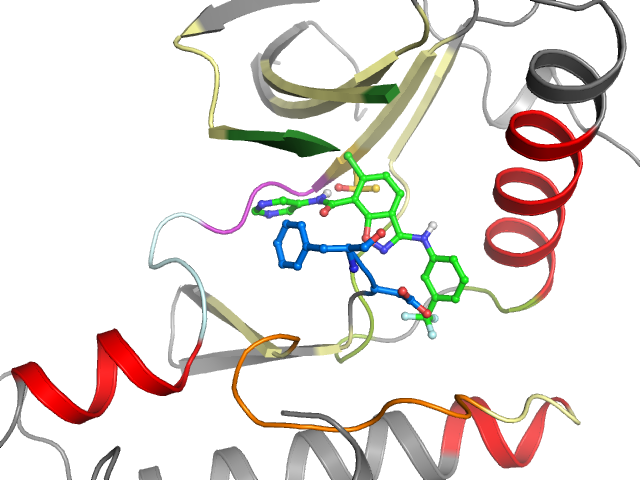 The orthosteric binding pocket