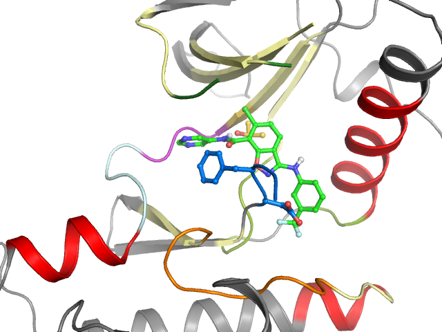 The orthosteric binding pocket